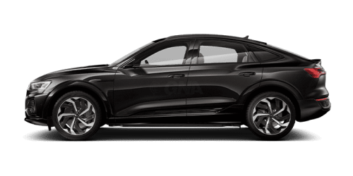 아우디_Q8 e-tron_2024년형_전기 스포트백_Q8 Sportback 55 e tron quattro Premium_color_ext_side_Madeira Brown Metallic.png