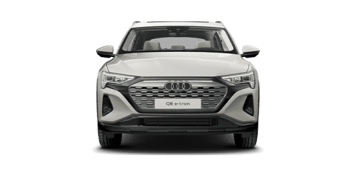 아우디_Q8 e-tron_2024년형_전기_Q8 50 e tron quattro_color_ext_front_Siam Beige Metallic.png