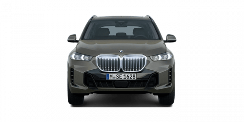 BMW_X5_2024년형_디젤 3.0_xDrive30d M Sport Pro_color_ext_front_맨해탄 메탈릭.png