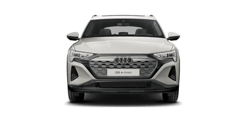 아우디_Q8 e-tron_2024년형_전기_Q8 55 e tron quattro_color_ext_front_Siam Beige Metallic.png