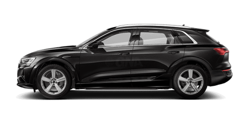 아우디_Q8 e-tron_2024년형_전기_Q8 50 e tron quattro_color_ext_side_Madeira Brown Metallic.png