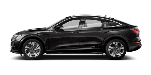 아우디_Q8 e-tron_2024년형_전기 스포트백_Q8 Sportback 55 e tron quattro_color_ext_side_Madeira Brown Metallic.png