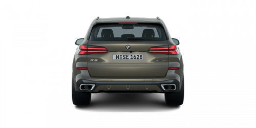 BMW_X5_2024년형_가솔린 3.0_xDrive40i M Sport_color_ext_back_맨해탄 메탈릭.png