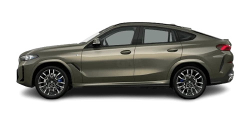 BMW_X6_2025년형_가솔린 3.0_xDrive40i M Sport_color_ext_side_맨해탄 메탈릭.png