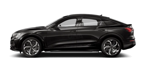 아우디_Q8 e-tron_2024년형_전기 스포트백_Q8 Sportback 55 e tron quattro Premium_color_ext_side_Madeira Brown Metallic.png