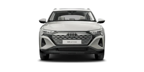 아우디_Q8 e-tron_2024년형_전기_Q8 50 e tron quattro_color_ext_front_Siam Beige Metallic.png