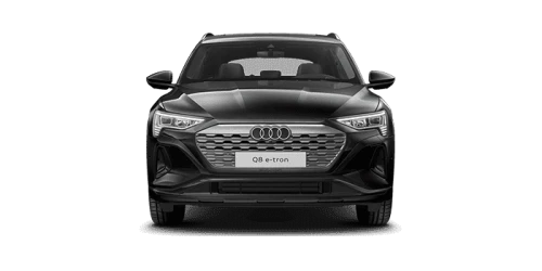 아우디_Q8 e-tron_2024년형_전기_Q8 55 e tron quattro_color_ext_front_Madeira Brown Metallic.png