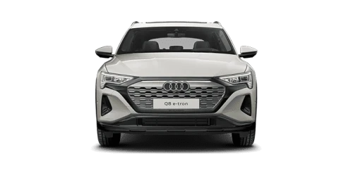 아우디_Q8 e-tron_2024년형_전기_Q8 55 e tron quattro_color_ext_front_Siam Beige Metallic.png
