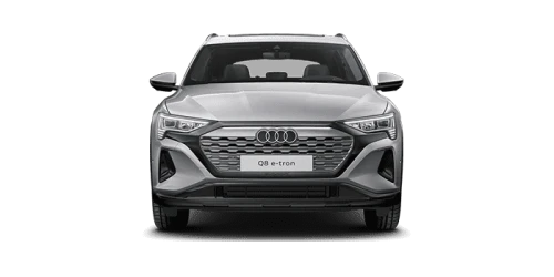 아우디_Q8 e-tron_2024년형_전기_Q8 55 e tron quattro_color_ext_front_Floret Silver Metallic.png