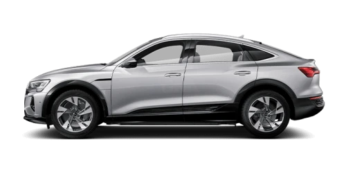 아우디_Q8 e-tron_2024년형_전기 스포트백_Q8 Sportback 55 e tron quattro_color_ext_side_Floret Silver Metallic.png