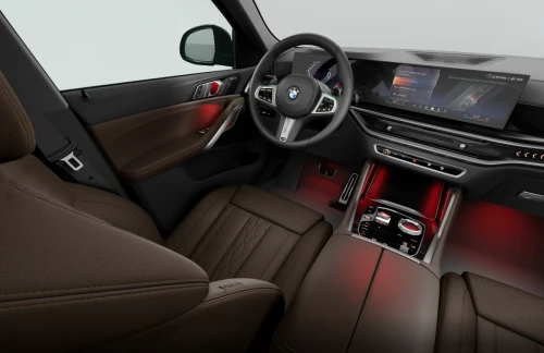 BMW_X6_2025년형_가솔린 3.0_xDrive40i M Sport_color_int_BMW 인디비주얼 익스텐디드 메리노 가죽(커피).png