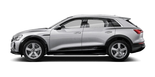 아우디_Q8 e-tron_2024년형_전기_Q8 50 e tron quattro_color_ext_side_Floret Silver Metallic.png