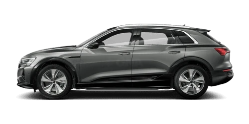 아우디_Q8 e-tron_2024년형_전기_Q8 55 e tron quattro_color_ext_side_Chronos Gray Metallic.png