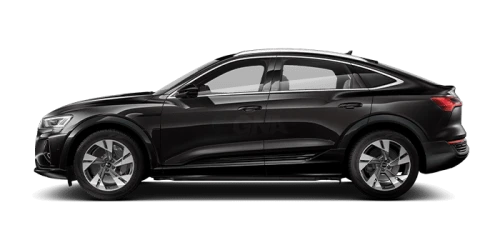 아우디_Q8 e-tron_2024년형_전기 스포트백_Q8 Sportback 55 e tron quattro_color_ext_side_Madeira Brown Metallic.png