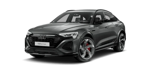 아우디_Q8 e-tron_2024년형_전기 S 스포트백_SQ8 Sportback e tron_color_ext_left_Chronos Gray Metallic.png