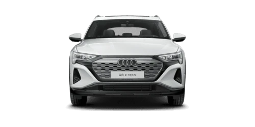 아우디_Q8 e-tron_2024년형_전기_Q8 55 e tron quattro_color_ext_front_Glacier White Metallic.png