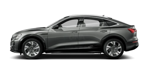 아우디_Q8 e-tron_2024년형_전기 스포트백_Q8 Sportback 55 e tron quattro_color_ext_side_Chronos Gray Metallic.png