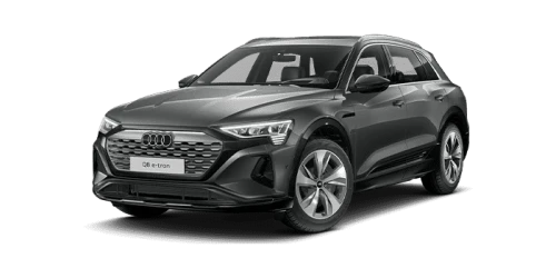 아우디_Q8 e-tron_2024년형_전기_Q8 55 e tron quattro_color_ext_left_Chronos Gray Metallic.png