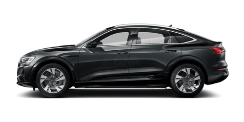 아우디_Q8 e-tron_2024년형_전기 스포트백_Q8 Sportback 55 e tron quattro_color_ext_side_Manhattan Gray Metallic.png