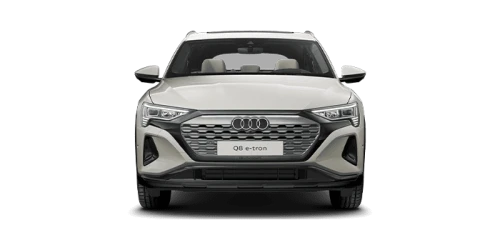 아우디_Q8 e-tron_2024년형_전기 스포트백_Q8 Sportback 55 e tron quattro_color_ext_front_Siam Beige Metallic.png