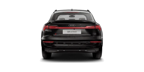 아우디_Q8 e-tron_2024년형_전기 스포트백_Q8 Sportback 55 e tron quattro Premium_color_ext_back_Madeira Brown Metallic.png