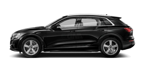 아우디_Q8 e-tron_2024년형_전기_Q8 50 e tron quattro_color_ext_side_Myth Black Metallic.png
